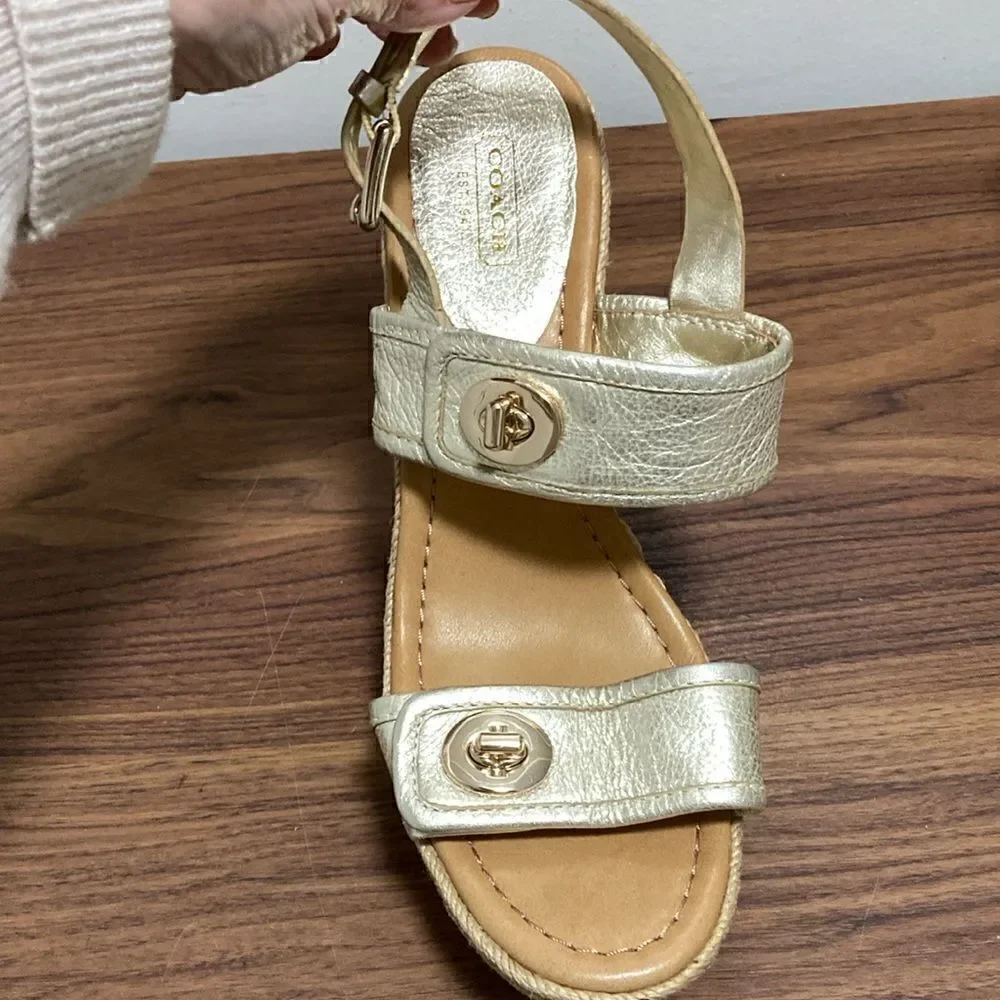 Coach Marian Metallic Silver Wood Platform Wedge Sandals w/Ankle Strap. Size 10.